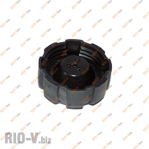 Фотография Крышка расширительного бачка 2108 Аляска