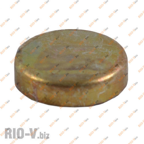 Фотография Заглушка блока 2101 шт большая (d 40) Харьков