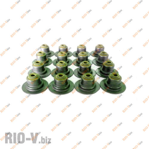 Сальник клапанів Ланос 1.6 Victor-Reinz Фотография Сальник клапанів Ланос 1.6 Victor-Reinz