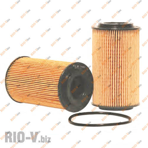 WL7297WIX Фотография WL7297WIX