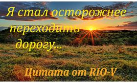 Умная цитата Я стал осторожнее переходить дорогу RIO-V