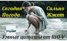 Умная цитата Судя по погоде, вместо ласточек прилетят пингвины RIO-V