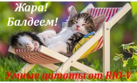 Умная цитата Лучше летом отдыхать, чем зимой работать RIO-V