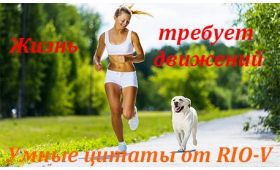 Умная цитата Жизнь требует движений RIO-V
