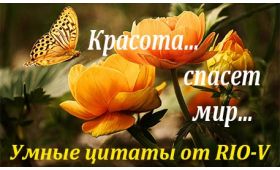 Умная цитата Красотой спасётся мир RIO-V