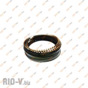 Кольца поршневые Ланос 1.4 77,5 стандарт АвтоЗАЗ - 317-1000101-11