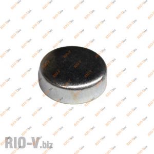 Заглушка блока 2101 шт малая (d 25) Белебей - 2101-14328201