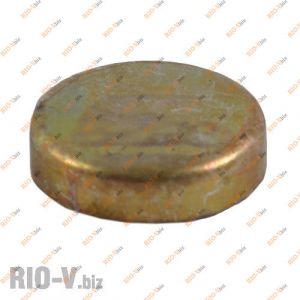 Заглушка блока 2101 шт большая (d 40) Харьков - 2101-14329901-00