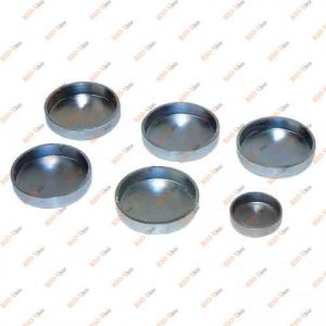 Заглушка блока 2101 (к-т 5+1 шт) ВАЗ - 2101-14329901