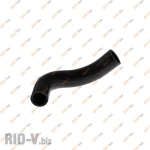 Патрубок радиатора 2101 нижний Нирти - 2101-1303010