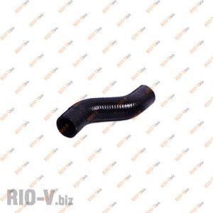 Патрубок радиатора 21213 нижний БРТ - 21213-1303010Р