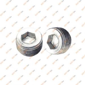 Заглушка головки алюмінієва 22 мм - 10269950