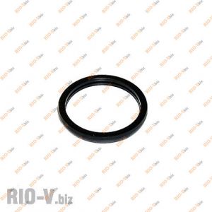 Прокладка термостата Ланос 1.5 гумова РМ - P1E-C003