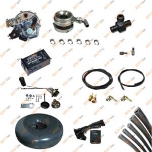 Комплект ГБО Tomasetto, інжектор - 