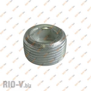 Пробка піддона 2101 М22 - 1/43253/01