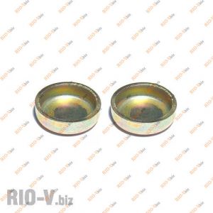 Заглушка блоку 2101 шт мала (d 25) Харків - 2101-14328201