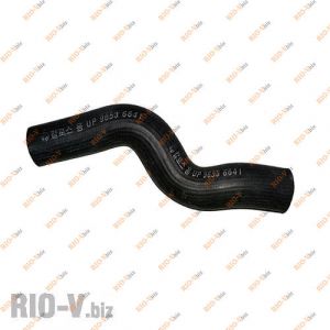 Патрубок радіатора Авео верхній з АКПП Корея - КОРЕЯ