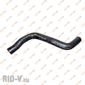 Патрубок радіатора Авео нижній з АКПП Корея - 96536598