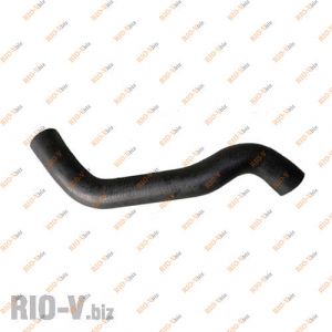 Патрубок радіатора Лачетті 1.8 верхній GM - 96553247