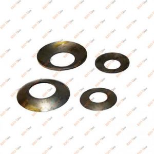 Шайба сателіти диференціала Таврія, Сенс Україна - 307-2301234