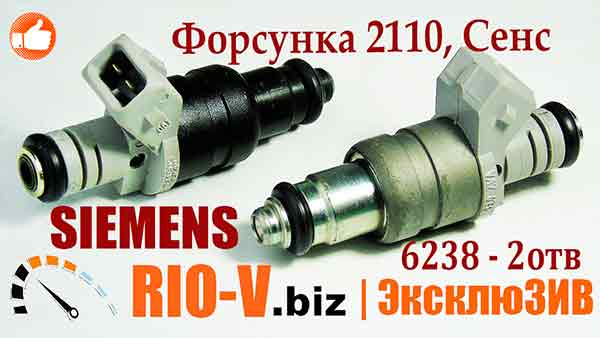 Форсунка 2110, Сенс SIEMENS 6238 2 відп | RIO-V