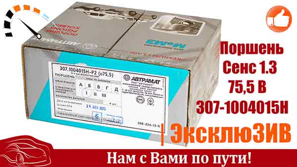 Поршень Сенс 1.3 75,5 В (в упак. 4 шт) Автрамат | RIO-V